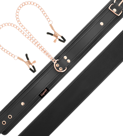 COQUETTE CHIC DESIRE - COLLIER PINCE TIP FANTAISIE AVEC DOUBLURE EN NÉOPRÈNE by COQUETTE FANTASY