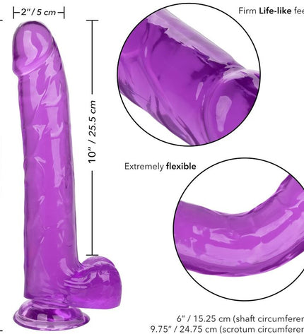 CALEXOTICS - GODE REINE TAILLE VIOLET 25.5 CM by CALEXOTICS