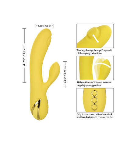 CALEXOTICS - SAN DIEGO SÉDUCTION by CALEXOTICS