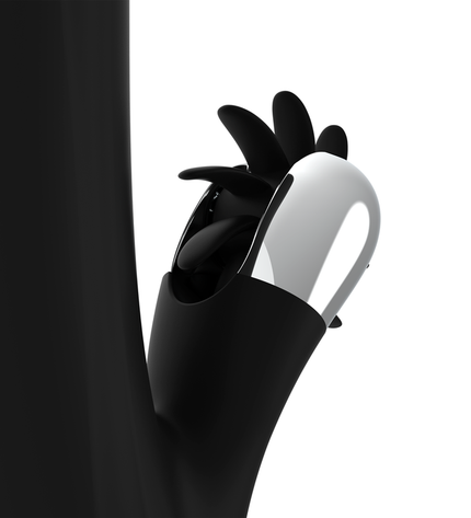 BLACK&SILVER - VIBE DE ROTATION DE TEMPÊTE DE LAPIN by BLACK&SILVER