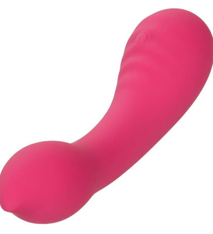 CALEXOTICS - PIXIES TEASER ROSE by CALEXOTICS