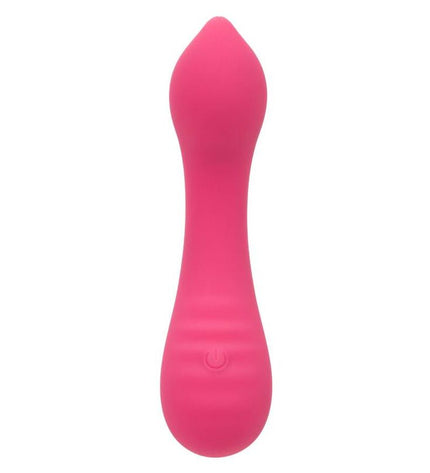 CALEXOTICS - PIXIES TEASER ROSE by CALEXOTICS