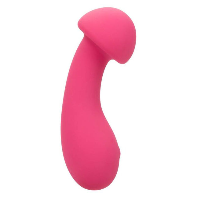 CALEXOTICS - PIXIES EXCITER ROSE by CALEXOTICS