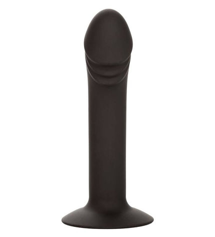 CALEXOTICS - STUD ANAL COURB? by CALEXOTICS