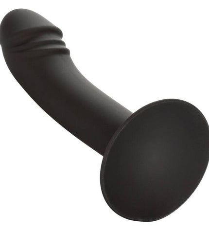 CALEXOTICS - STUD ANAL COURB? by CALEXOTICS