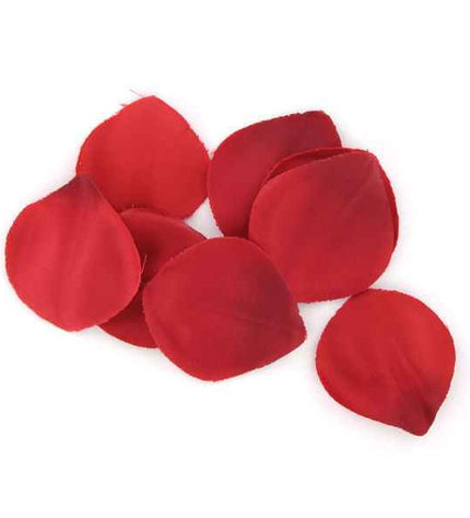 EXTASE SENSUAL - COFFRE TENTATION ROUGE - Concombre Boutique