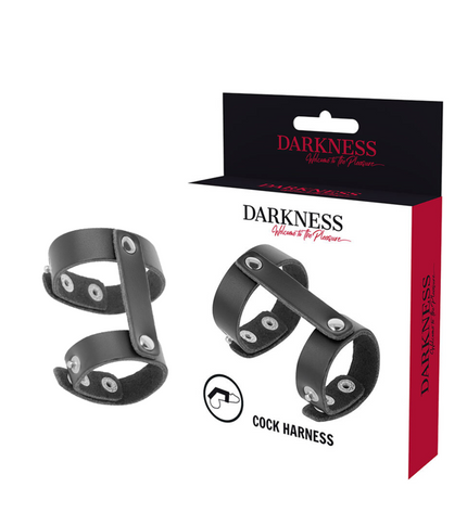 DARKNESS - ANNEAU DE PÉNIS ET TESTICULES RÉGLABLE EN CUIR by DARKNESS BONDAGE