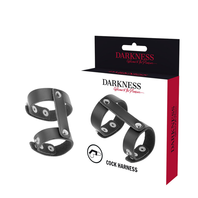 DARKNESS - ANNEAU DE PÉNIS ET TESTICULES RÉGLABLE EN CUIR by DARKNESS BONDAGE