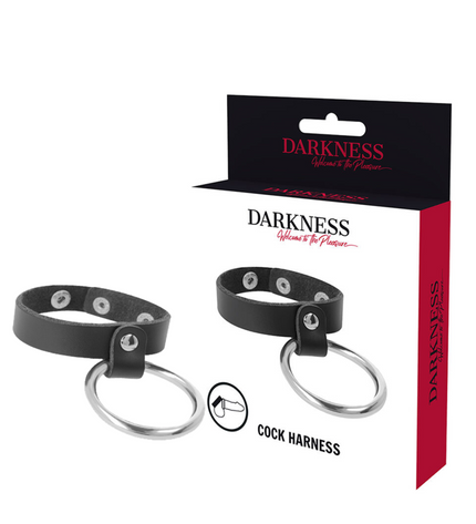 DARKNESS - ANNEAU MÉTALLIQUE POUR LE PÉNIS ET LES TESTICULES by DARKNESS BONDAGE
