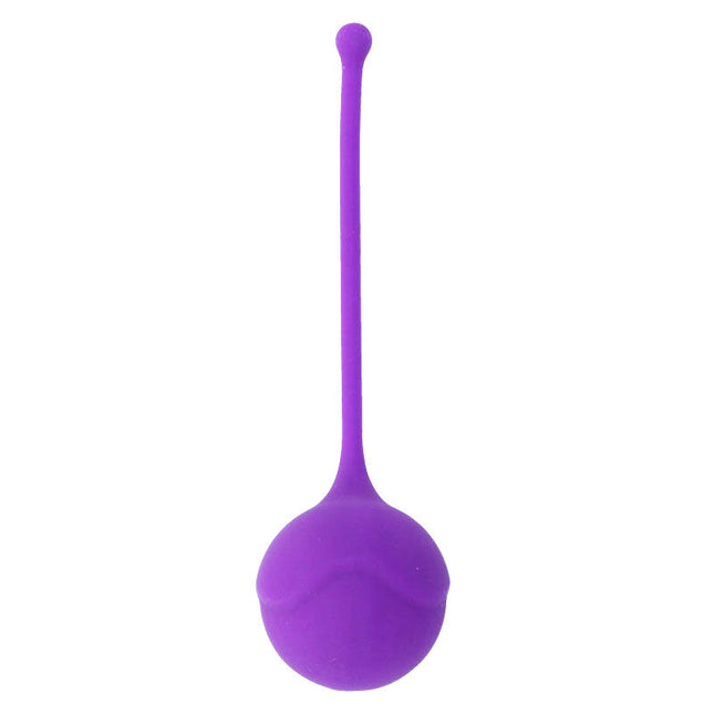 INTENSE - KISHA FIT ONE SILICONE KEGEL LILAS - Concombre Boutique