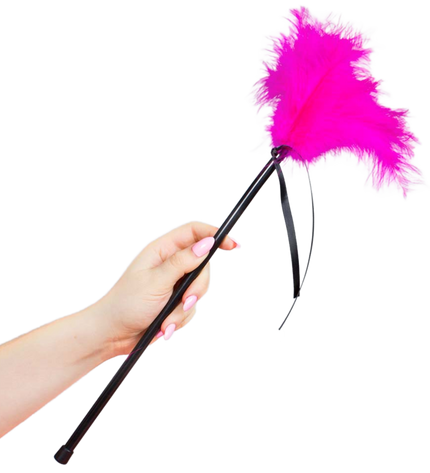 SECRETPLAY - PLUMES ROSE 40 CM - Concombre Boutique