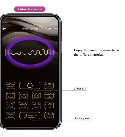 PRETTY LOVE - BALLES VIBRANTES RECHARGEABLES ELVIRA VIOLET by PRETTY LOVE SMART