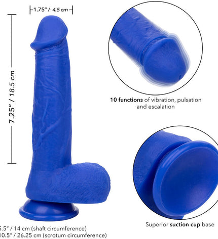 CALEXOTICS - ADMIRAL VIBRATEUR GODE RÉALISTE CAPTAIN BLEU by CALEXOTICS