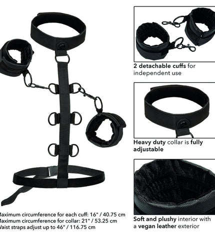 CALEXOTICS - BOUNDLESS COLLIER DE RETENUE by CALEXOTICS