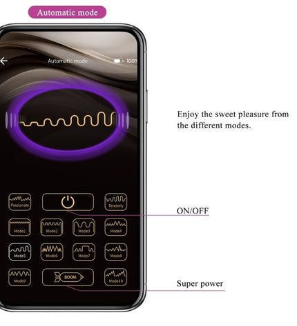 PRETTY LOVE - ELVIRA KEGEL BALLS APP TÉLÉCOMMANDE VIOLET - Concombre Boutique