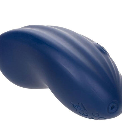 CALEXOTICS - CASHMERE VELOURS CURVE BLEU by CALEXOTICS