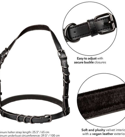 CALEXOTICS - EUPHORIA HARNAIS BOUCLE LICOL NOIR by CALEXOTICS