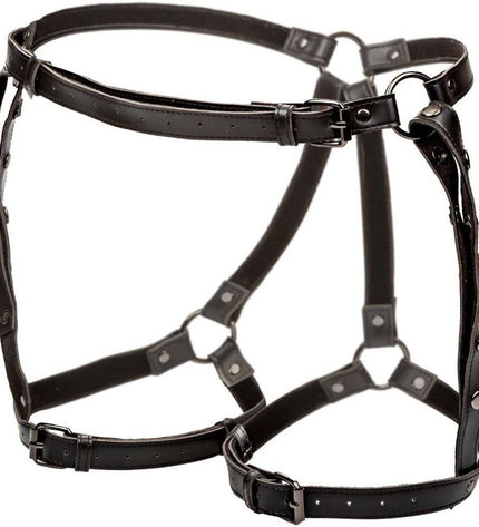 CALEXOTICS - EUPHORIA HARNAIS DE CUISSE DÉQUITATION TAILLE PLUS by CALEXOTICS