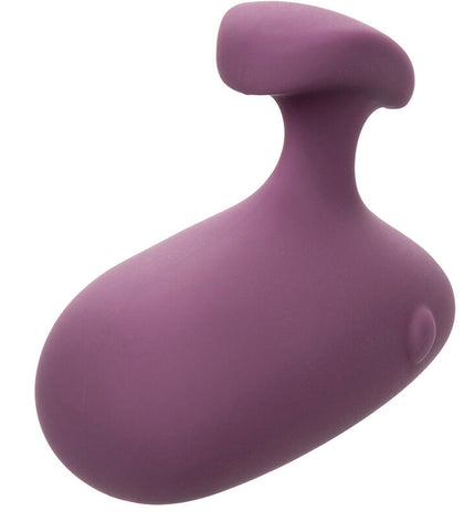 CALEXOTICS - STIMULATEUR MOD TOUCH VIOLET by CALEXOTICS