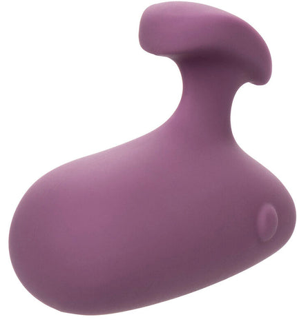 CALEXOTICS - STIMULATEUR MOD TOUCH VIOLET by CALEXOTICS