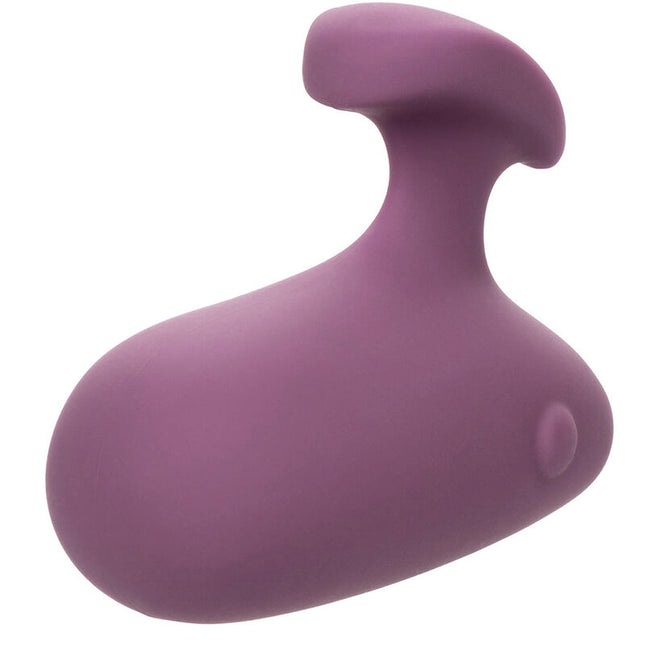 CALEXOTICS - STIMULATEUR MOD TOUCH VIOLET by CALEXOTICS