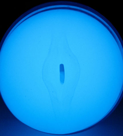 KIIROO - SENTEZ GLOW IN THE DARK STROKER by KIIROO