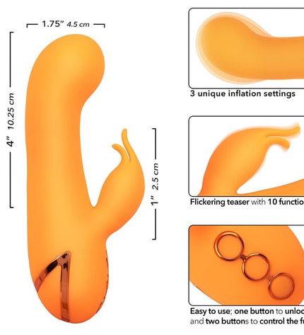 CALEXOTICS - MONTECITO MUSE VIBRATEUR LAPIN ORANGE PAR CALIFORNIA DREAMING by CALEXOTICS