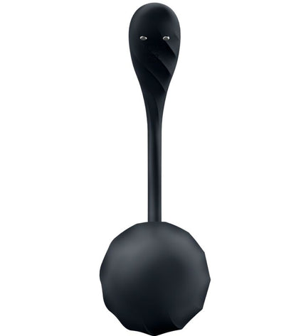 SATISFYER - RIBBED PETAL TÉLÉCOMMANDE DE STIMULATEUR DE POINT G NOIR APPLICATION GRATUITE by SATISFYER PARTNER