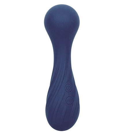 CALEXOTICS - CHARISMA TEMPTATION MASSEUR 12 FONCTIONS VIOLET by CALEXOTICS