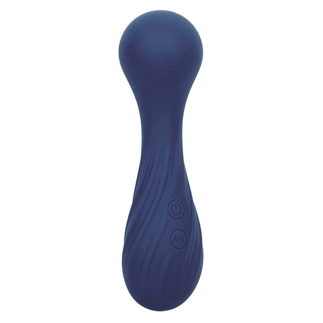 CALEXOTICS - CHARISMA TEMPTATION MASSEUR 12 FONCTIONS VIOLET by CALEXOTICS