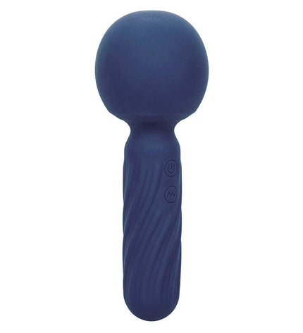 CALEXOTICS - CHARISMA SEDUCTION MASSEUR 12 FONCTIONS 17,75 CM X 6,25 CM VIOLET by CALEXOTICS