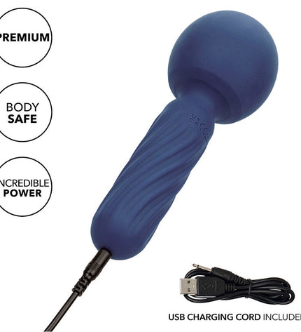 CALEXOTICS - CHARISMA SEDUCTION MASSEUR 12 FONCTIONS 17,75 CM X 6,25 CM VIOLET by CALEXOTICS