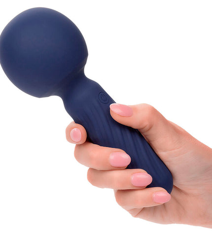 CALEXOTICS - CHARISMA SEDUCTION MASSEUR 12 FONCTIONS 17,75 CM X 6,25 CM VIOLET by CALEXOTICS