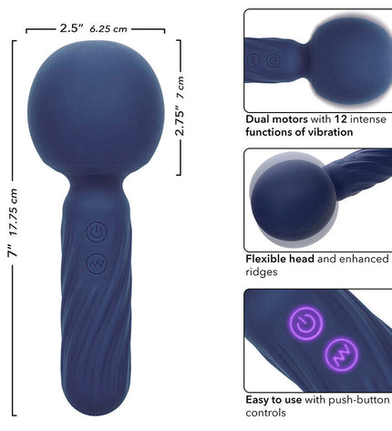 CALEXOTICS - CHARISMA SEDUCTION MASSEUR 12 FONCTIONS 17,75 CM X 6,25 CM VIOLET by CALEXOTICS