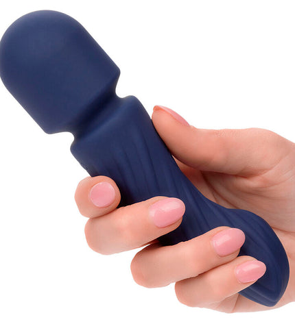 CALEXOTICS - CHARISMA ALLURE MASSEUR DOUBLE MOTEURS 12 FONCTIONS 17,25 CM X 4,5 CM VIOLET by CALEXOTICS