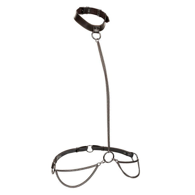 CALEXOTICS - EUPHORIA COLLIER ET LAISSE CHAINE by CALEXOTICS