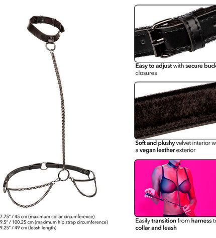 CALEXOTICS - EUPHORIA COLLIER ET LAISSE CHAINE by CALEXOTICS