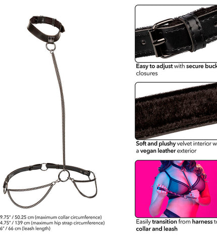 CALEXOTICS - EUPHORIA COLLIER LICOL ET LAISSE GRANDE TAILLE by CALEXOTICS