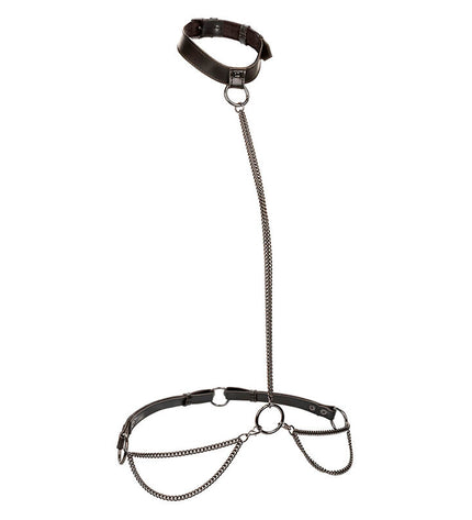 CALEXOTICS - EUPHORIA COLLIER LICOL ET LAISSE GRANDE TAILLE by CALEXOTICS