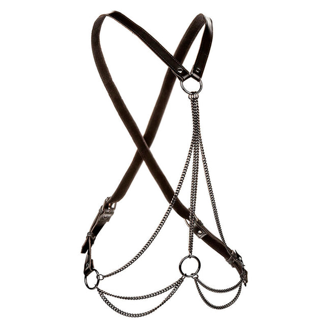 CALEXOTICS - EUPHORIA HARNAIS MULTICHAÎNE PREMIUM by CALEXOTICS