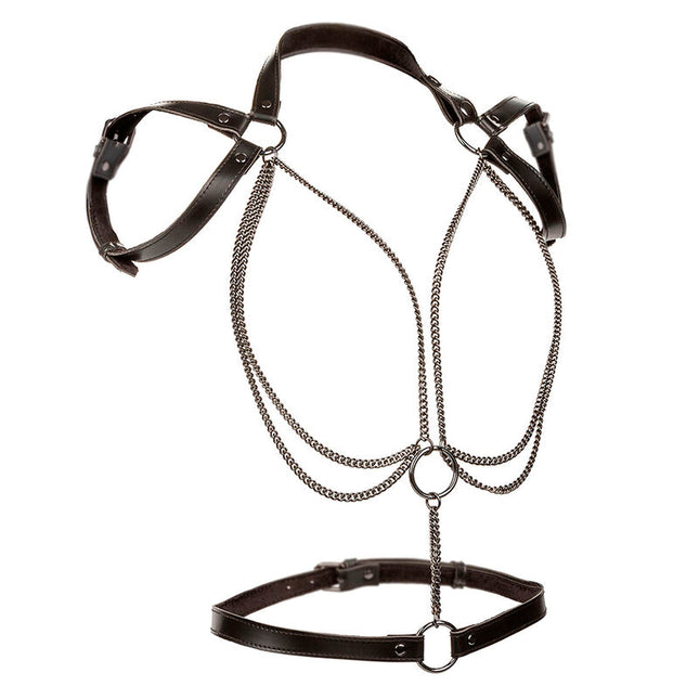 CALEXOTICS - EUPHORIA HARNAIS LICOL MULTICHAÎNES PREMIUM by CALEXOTICS