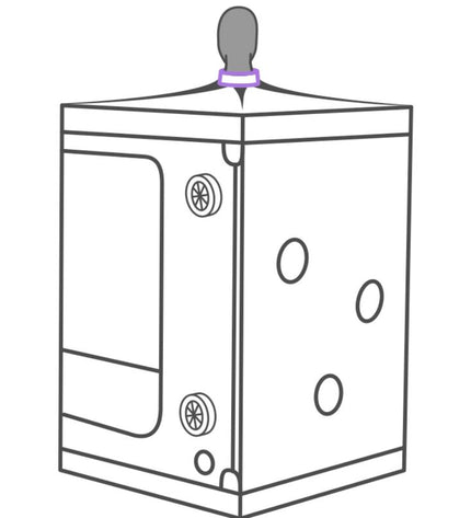 SECRET DOME - KINK CLUB CABINE SCANDALE PURPLE by SECRET DOME