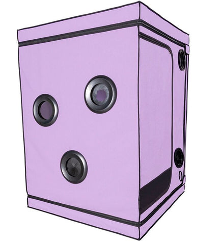 SECRET DOME - KINK CLUB CABINE SCANDALE PURPLE by SECRET DOME