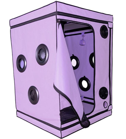 SECRET DOME - KINK CLUB CABINE SCANDALE PURPLE by SECRET DOME