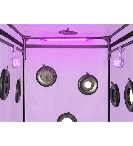 SECRET DOME - KINK CLUB CABINE SCANDALE PURPLE by SECRET DOME