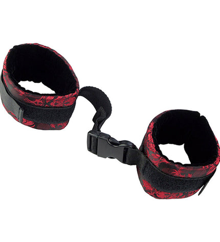 CALEXOTICS - SCANDAL MENOTTES DE CONTRÔLE DES by CALEXOTICS