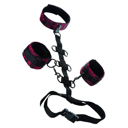 CALEXOTICS - SCANDAL SUPPORT COMPORAL AVEC COU by CALEXOTICS