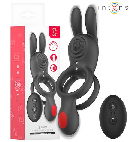 INTENSE - QUINN DOUBLE VIBRATION ANNEAU AVEC TÉLÉCOMMANDE by INTENSE FOR HIM