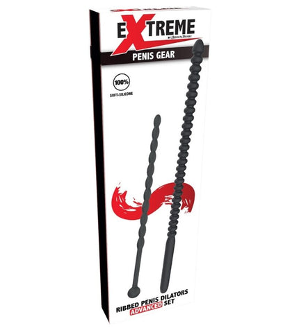 HIDDEN DESIRE - EXTREME ADVANCED DILATATEURS URÉTRAUX AVEC STRIES 2 UNITÉS by HIDDEN DESIRE