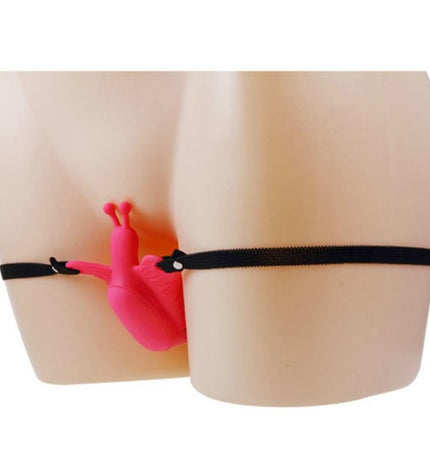 BAILE - HARNAIS PAPILLON VIBRANT ULTRA PASSIONN? - Concombre Boutique